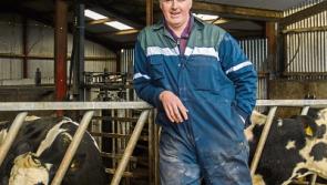 Give &lsquo;Ireland-Britain Trade&rsquo; the same focus as the &lsquo;North-South Border&rsquo;