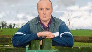 Tipperary farming: farmer stress levels rising with the temperatures
