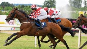 Tipperary trainers and jockeys shine on a great weekend on the track
