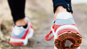 Carrick-on-Suir Lions Club unveils plans for Suir Blueway sponsored walk 