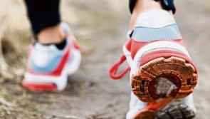 Heritage walk of River Suir Blueway planned