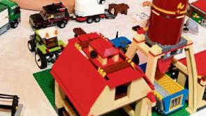 Carrick-on-Suir Library seeks Lego donations