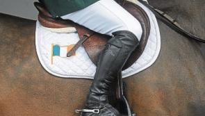 Tipperary company takes High Court case to allow its horse compete at Dublin Horse Show