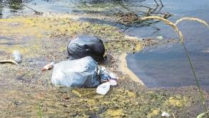Shameful dumping of domestic rubbish in River Suir at Clonmel