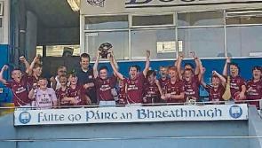Carrick-on-Suir GAA Club U-12 hurling team win league title
