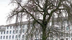 Number of patients on trolleys at South Tipperary Hospital falls to 15 