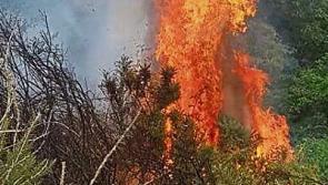 Fire fighters called to Killenaule gorse fire