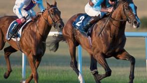 Fethard jockey Ben Coen records a fine double at Ballinrobe