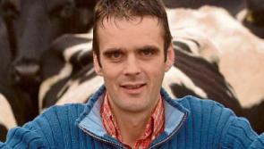 Retailers are urged to aid Tipperary growers survive drought crisis
