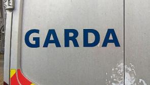 Gardai probe smashing of windows at Clonmel homes 