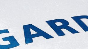 Thieves steal valuables from cars in Glen of Aherlow and Dundrum