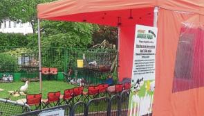 Free events at the Swiss Cottage in Cahir, Co. Tipperary, for Heritage Week