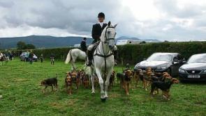Excitement builds for Bansha Agricultural and Industrial Show in Co. Tipperary on August 22