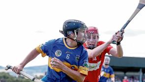 Two late goals seals Tipperary camogie girls place at the top of the table