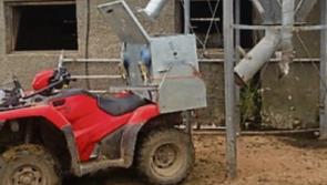 Tipperary farming: Tom boxes clever with mobile feed invention