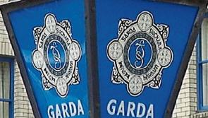 Gardai seek public’s help in tracing jeep stolen from Mullinahone yard