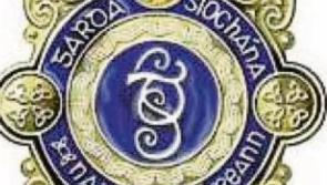 Cars, house and service station damaged in Carrick-on-Suir vandalism spree