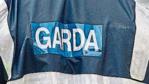 Two cars damaged in hit-and-run incident in Clonmel