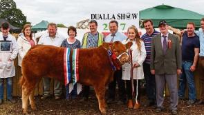 Dualla Show to put the focus on farm safety at popular event on Sunday