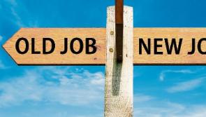 Tipperary jobs round-up - who's hiring in Tipperary this week