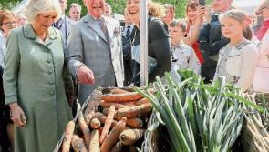 Bord Bia to host Tipperary farmers market stallholders workshop