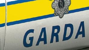 Clonmel gardai investigate thefts from three cars in the town on same night