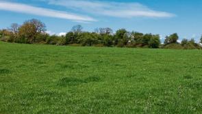 Tipperary public warned over anti-social behaviour on farmland