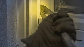 Burglars flee from Clonmel house