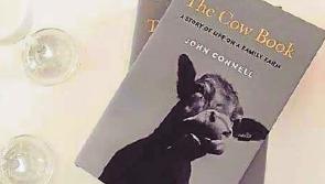 Tigers and cows at Dromineer Literary Festival's reading in Nenagh Arts Centre