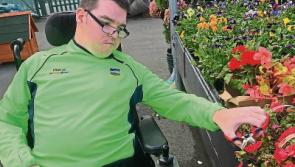 St. Anne's Roscrea to celebrate 10th anniversary managed by Daughters of Charity 