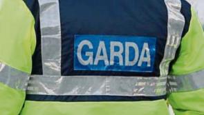 Tipperary Gardai prepare file on alleged animal cruelty at Roscrea sulky racing