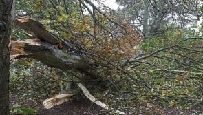 This year's first storm will be Ali followed by Bronagh as Met service names the winter storms
