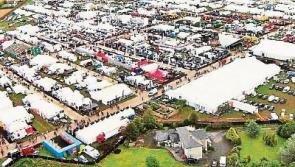 National Ploughing Championships has plenty on offer to suit all tastes