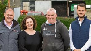 Tipperary dairy farmer slashes electricity bill with solar panels on milking parlour roof
