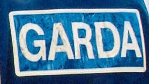 Burglars target Co. Tipperary garden centre and house on the same evening