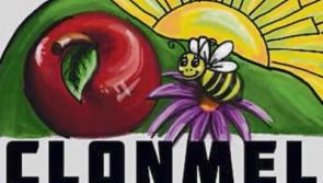 Clonmel wins Tidy Towns Pollinator Award