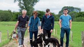 Tipperary farmers are runners up in national milk quality awards