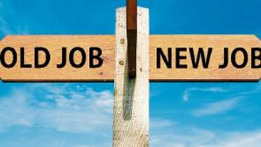 Tipperary jobs round-up - who's hiring in County Tipperary this week