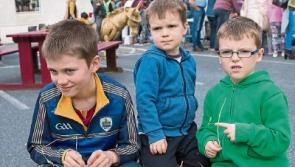 Clonmel celebrates the apple with successful festival