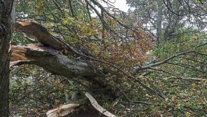 Weather warning as Storm Callum may have a damaging sting in the tail