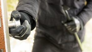 Burglars steal power tools and diesel from Co. Tipperary farm
