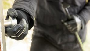 Burglars steal sawdust from Co. Tipperary racecourse