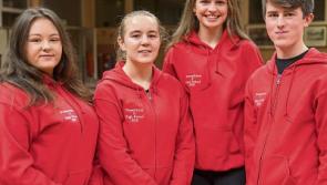 Clonmel students take pop culture trip down memory lane in school show