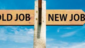 Tipperary jobs round-up - who's hiring in County Tipperary this week