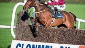 Clonmel Races launch 'all-in' ticket for Clonmel Oil raceday