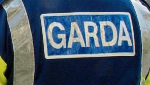 Mini-digger buckets stolen from Carrick-on-Suir construction site