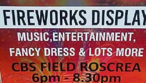 Roscrea Halloween Festival on Oct 31 in the CBS Field from 6pm - 8.30pm 
