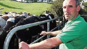 Tipperary farming: review of ANCs 'must be published immediately'