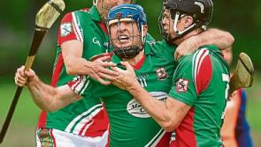 Only one South Tipperary senior hurling team now in top flight in Tipperary