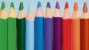 Tipperary art group welcomes new members